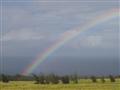 Arcobaleno Hawaiano